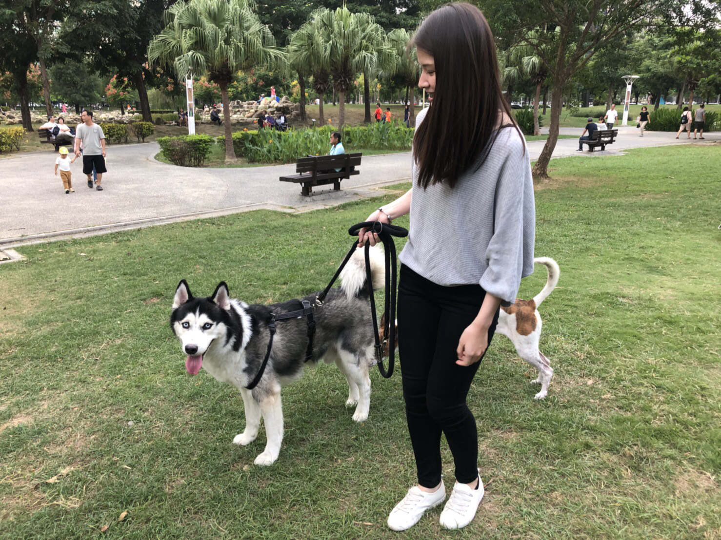 提供518家庭手工服務的專家Pei Chen Wu