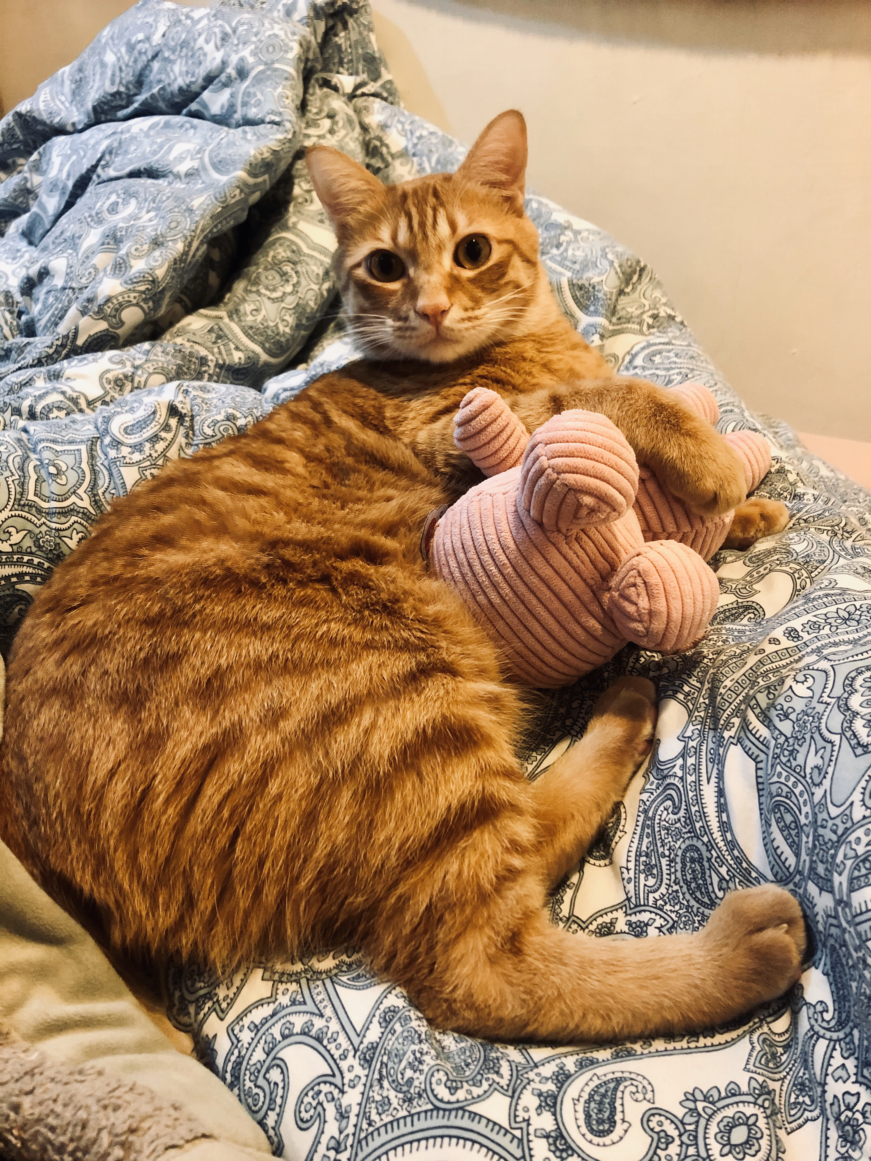 提供造型設計服務的專家Xuan Liu