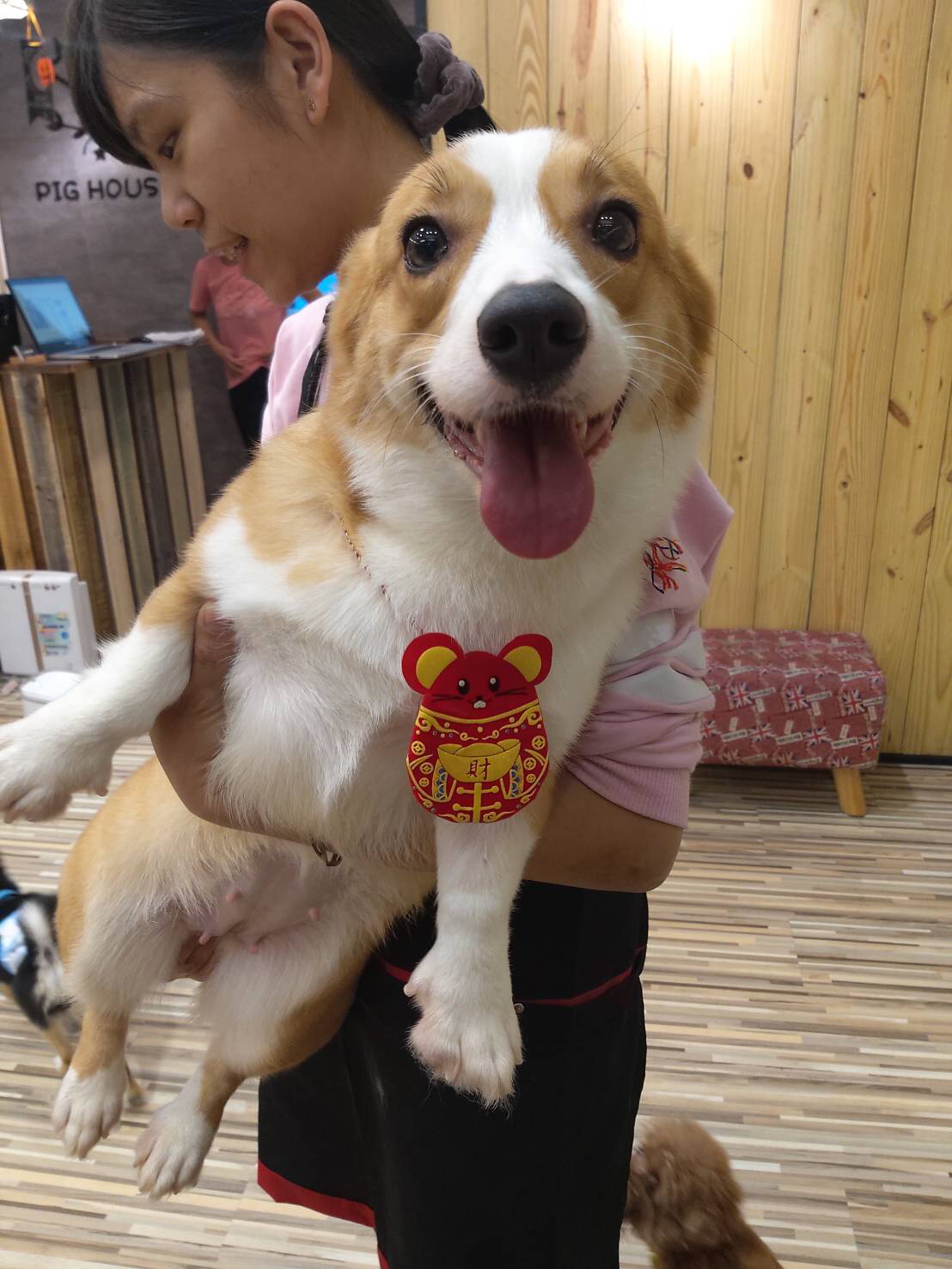 提供住宿服務的專家心心相印