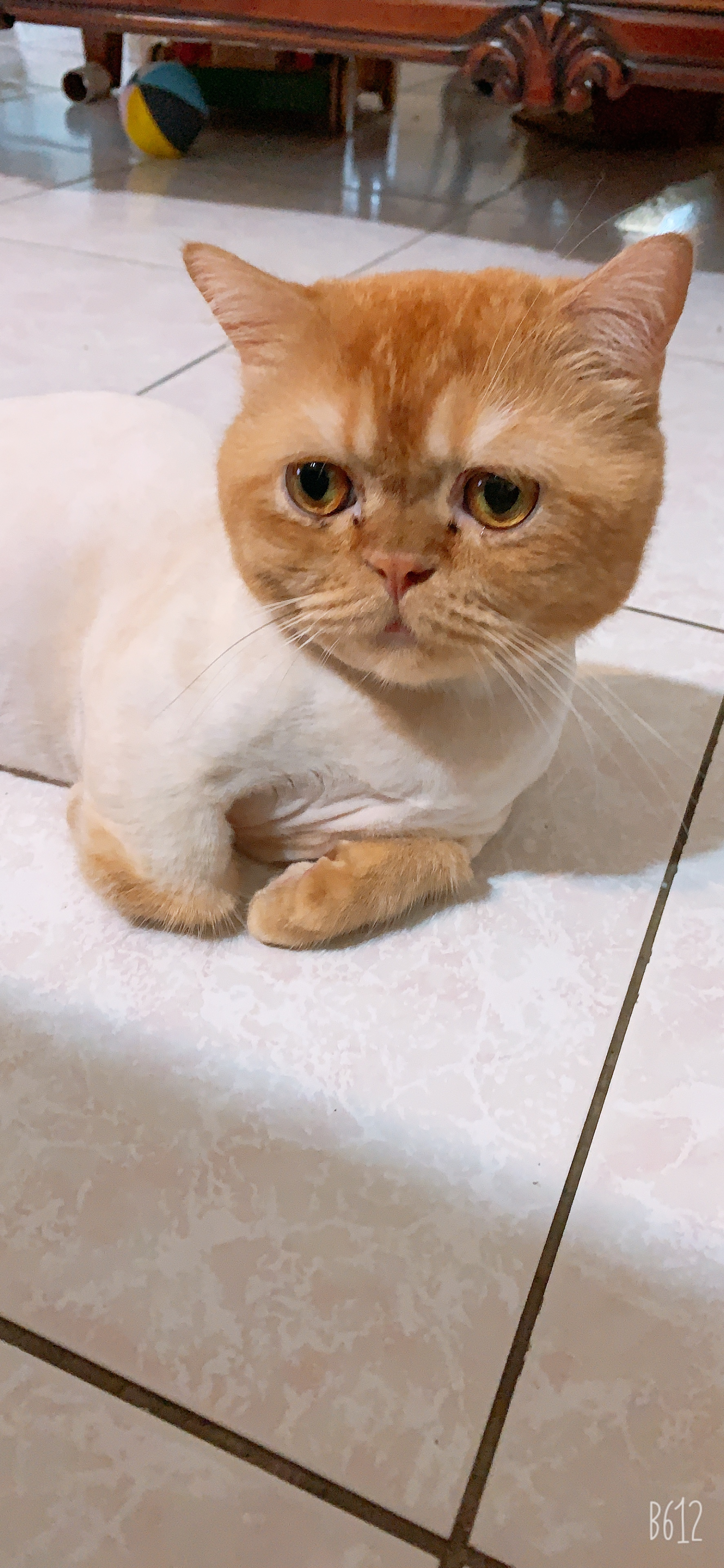 提供三餐服務的專家個人工作室