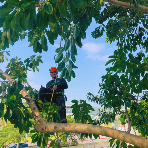 提供練習場服務的專家光頭阿誠