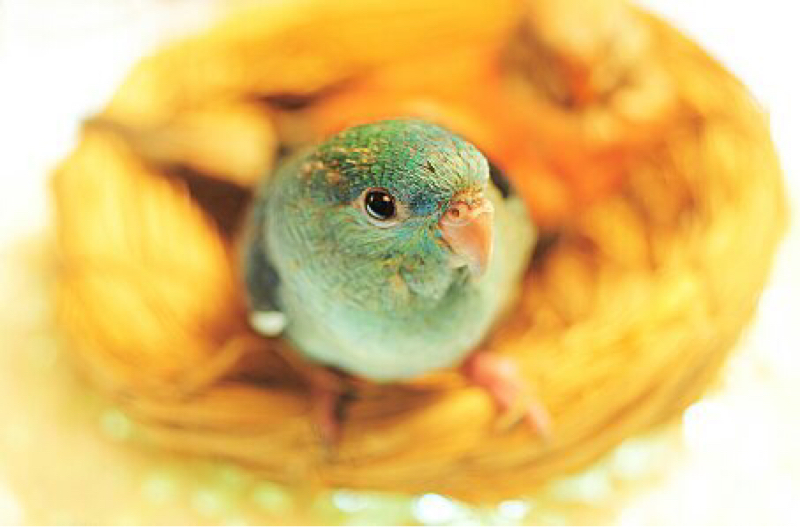 心意攝影工作室 Mind photo - 