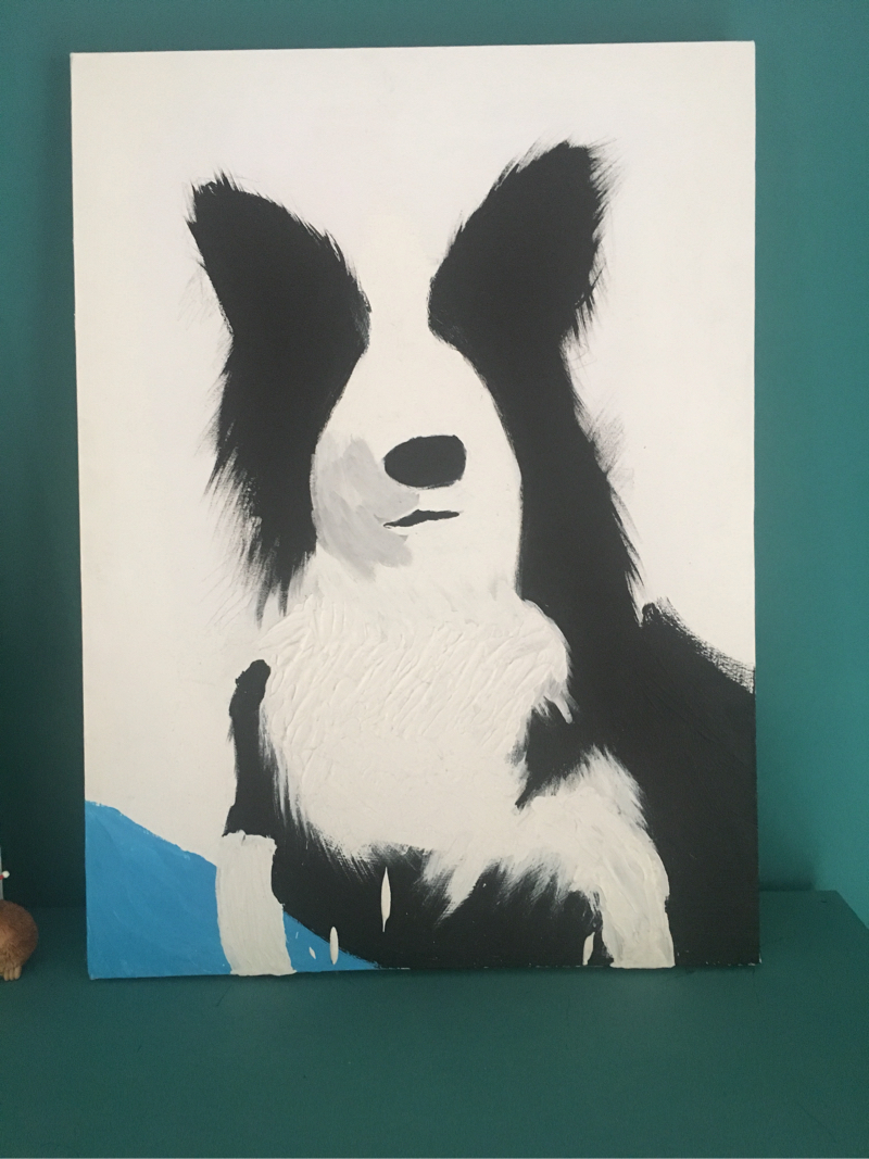 Pet Out 寵物出行 - 