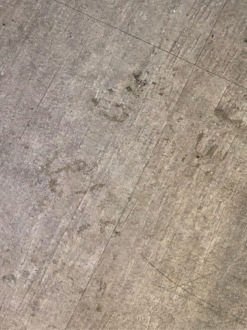 迪心飛炫有限公司 - 地面清潔前