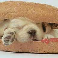 提供打字員服務的專家小王