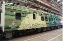 去背達人 ❤️🍎 - 普悠瑪火車，車體彩繪