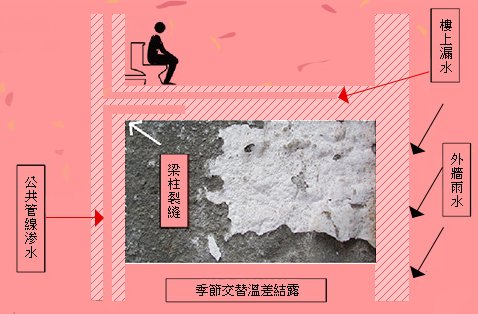 蝶古巴特社會企業股份有限公司 - 