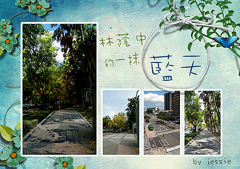 彩惠集 - 作品_林蔭