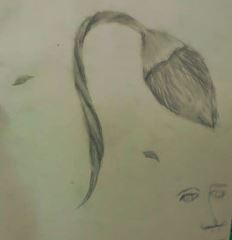 東律創意空間 - 花的包子，已插畫素描來畫視覺錯覺讓孩童學習成長。