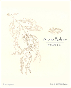 光譜藝術工作室 - 明信片設計