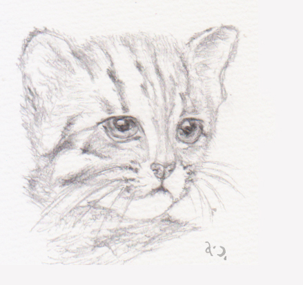 JOKER & STUDIO / 雨喬室內裝修有限公司 - 手繪作品-石虎 JOKER & STUDIO / 雨喬室內裝修有限公司 - 手繪作品-石虎