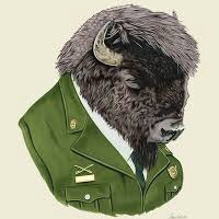 提供pvc膜服務的專家資商