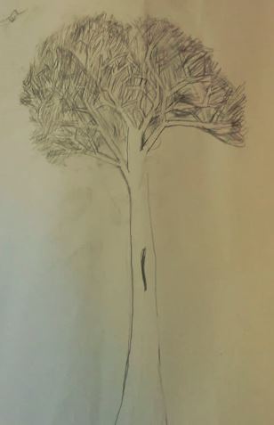 東律創意空間 - 樹，已插畫素描來結合市場的孩童所看到的樹。