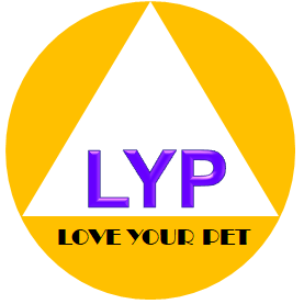 提供化妝品收納盒服務的專家智瑄