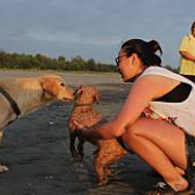 提供壁貼之家服務的專家黃品睿