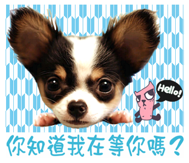 麗兒愛芊 - 可愛的小狗們
真狗版~超可愛的諾米和夏部。
https://store.line.me/stickershop/product/1566789/zh-Hant