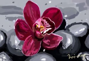 Ning studio - 凋零電繪