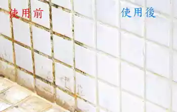 Lumi - 居家黴菌清潔