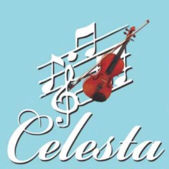 文山區吉他課程推薦雀樂絲特音樂學苑