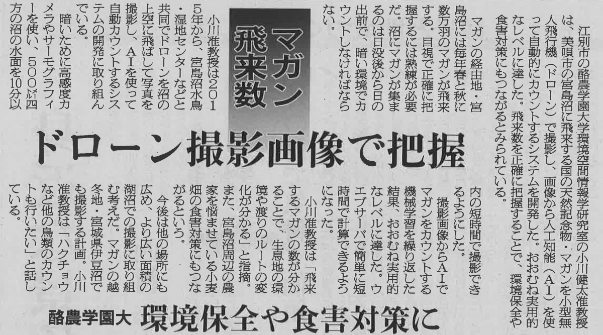日本農業新聞 酪農学園大 環境保全や食害対策に マガンの飛来数 ドローン撮影画像で把握 酪農学園大学 農食環境学群 獣医学群