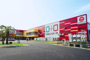 こんにゃくパークで手作り体験や詰め放題を楽しむ!