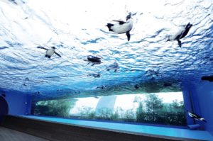 東京都内でファミリーにおすすめの水族館6選