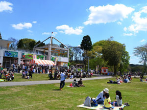 富山市ファミリーパークで動物とふれ合いながら自然を満喫!