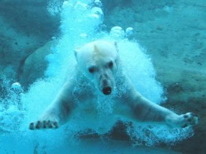 植物園、遊園地、動物園が一度に楽しめる！のんほいパークの見所とは？