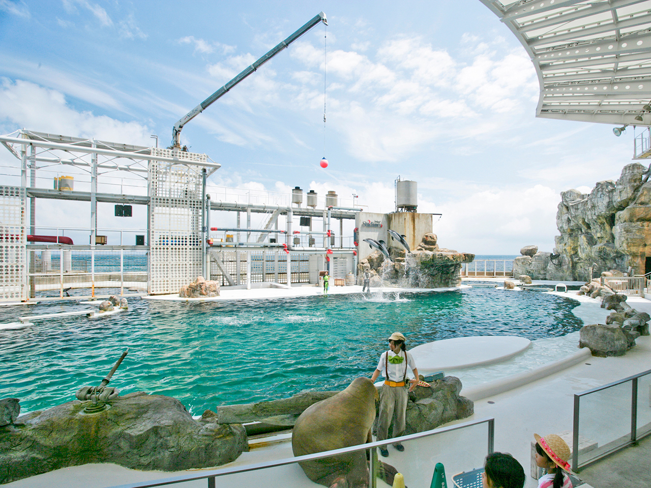 イルカ・アシカショー/城崎マリンワールド(兵庫県/豊岡市)