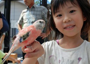 希少なコビトカバやホワイトタイガーも!いしかわ動物園(石川県)で楽しく学ぼう