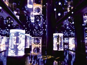 新感覚の水族館!アクアパーク品川の見所を紹介