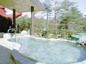 グリーンパーク想い出の森でアウトドアと温泉を楽しもう！