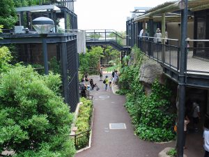 福岡市動植物園は、動物のエサやり体験から珍しい植物観察まで楽しみがいっぱい!