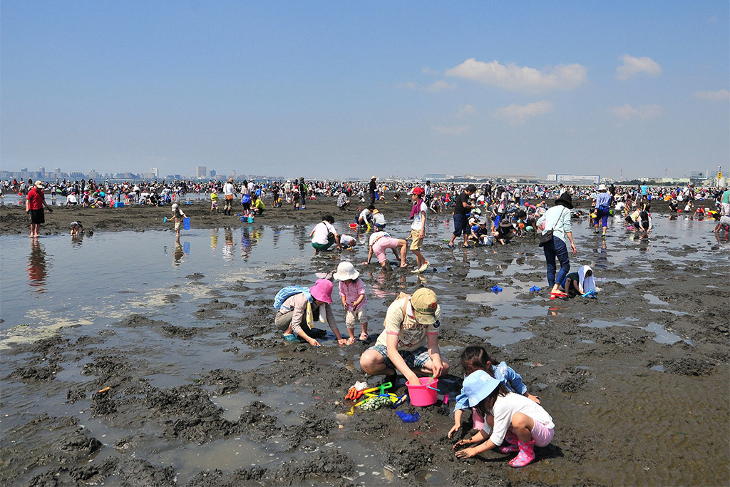 ふなばし三番瀬海浜公園 潮干狩り（千葉県／船橋市）