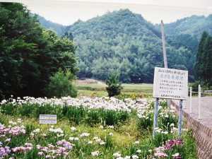 栃木県のホタル観賞スポット・ホタル祭り！ゲンジボタルが舞う里へ