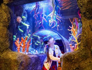 体験型水族館「シーライフ名古屋」の子どもがワクワクするポイントは?