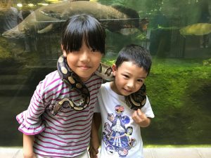 昆虫や爬虫類も人気!足立区生物園(東京)で300種類の動物を観察しよう