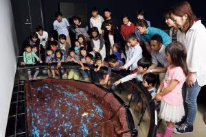 北陸のおすすめ水族館7選!豊富なふれあい体験とジンベエザメが人気