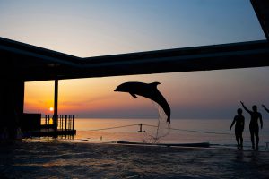 甲信越のおすすめ水族館7選!話題の新潟、個性的な山梨・長野