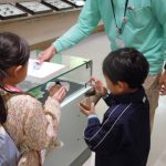 関西のおすすめ昆虫館！カブトムシとのふれあい体験施設や、蝶が舞う温室も