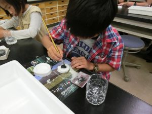 群馬県の恐竜博物館・恐竜スポット4選!崖に残る恐竜の足跡の化石がリアル!