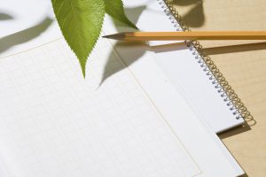 夏休みの宿題対策!旅行絵日記&読書感想文の書き方アドバイス