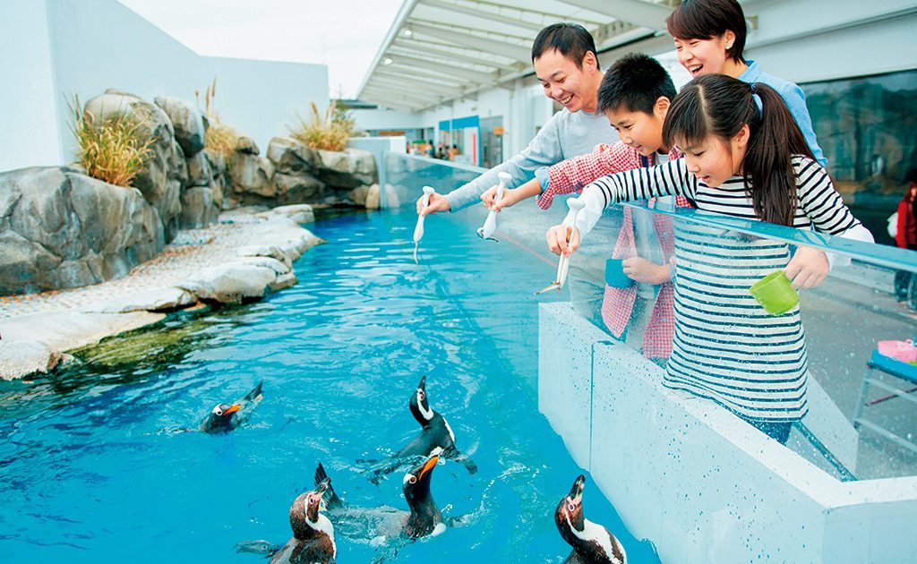 仙台うみの杜水族館のイルカ・アシカパフォーマンスは東北最大級！ふれあい体験も充実 るるぶKids
