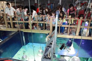関東のバックヤードツアーがある水族館10選!裏側に潜入できる人気の体験