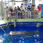 全国のバックヤードツアーがある水族館33選！普段入れない裏側に潜入