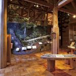 福井県の無料スポット・遊び場6選！博物館やプラネタリウム、ふれあい牧場など