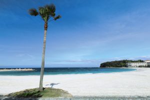 白良浜の魅力を紹介!関西屈指の美しい砂浜が広がる