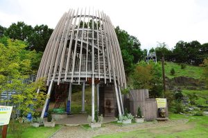 体を使って思い切り遊べるツインリンクもてぎの魅力を紹介!