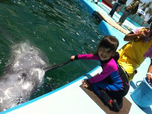 ワールド牧場は動物たちとのふれ合いが思い切り楽しめるテーマパーク