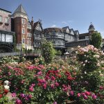 白い恋人パークは子供から大人まで1日満喫できるご機嫌スポット！